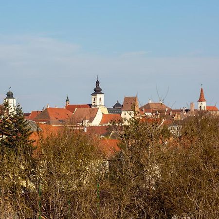 The Views Lägenhet Sibiu Exteriör bild